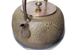 画像をギャラリービューアに読み込む, 長文堂 『上瓶手取梅』 2.4L 長谷川