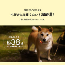 画像をギャラリービューアに読み込む, 犬用led光る首輪