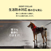 画像をギャラリービューアに読み込む, 犬用led光る首輪