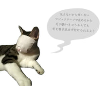 画像をギャラリービューアに読み込む, 猫用マスク【L/M/S】
