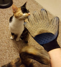 画像をギャラリービューアに読み込む, ペットグルーミンググローブ【ブルー】【片手】