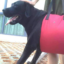 画像をギャラリービューアに読み込む, ペット歩行補助ハーネス【2色】【4サイズ】