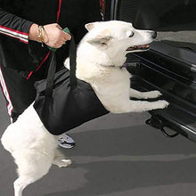 画像をギャラリービューアに読み込む, ペット歩行補助ハーネス【2色】【4サイズ】