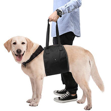 画像をギャラリービューアに読み込む, ペット歩行補助ハーネス【2色】【4サイズ】