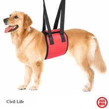 画像をギャラリービューアに読み込む, ペット歩行補助ハーネス【2色】【4サイズ】