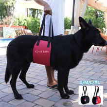 画像をギャラリービューアに読み込む, ペット歩行補助ハーネス【2色】【4サイズ】