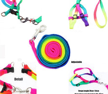 画像をギャラリービューアに読み込む, 小型犬用七彩ハーネスリード