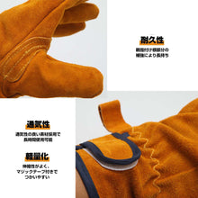画像をギャラリービューアに読み込む, 本革耐熱グローブ
