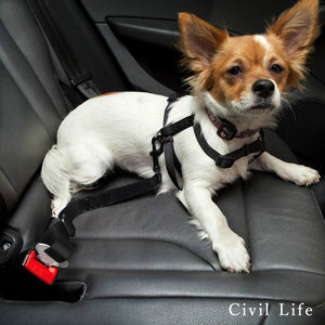 犬車用シートベルト