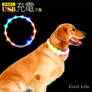 犬用led光る首輪【レインボー】
